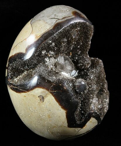 Septarian Dragon Egg Geode - Black Crystals #58803